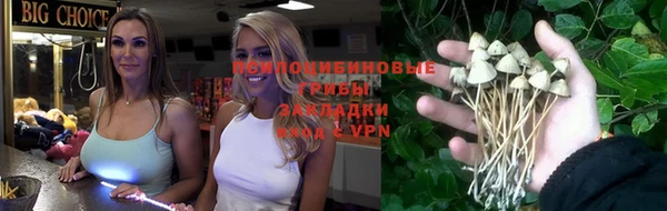 jwh Белокуриха